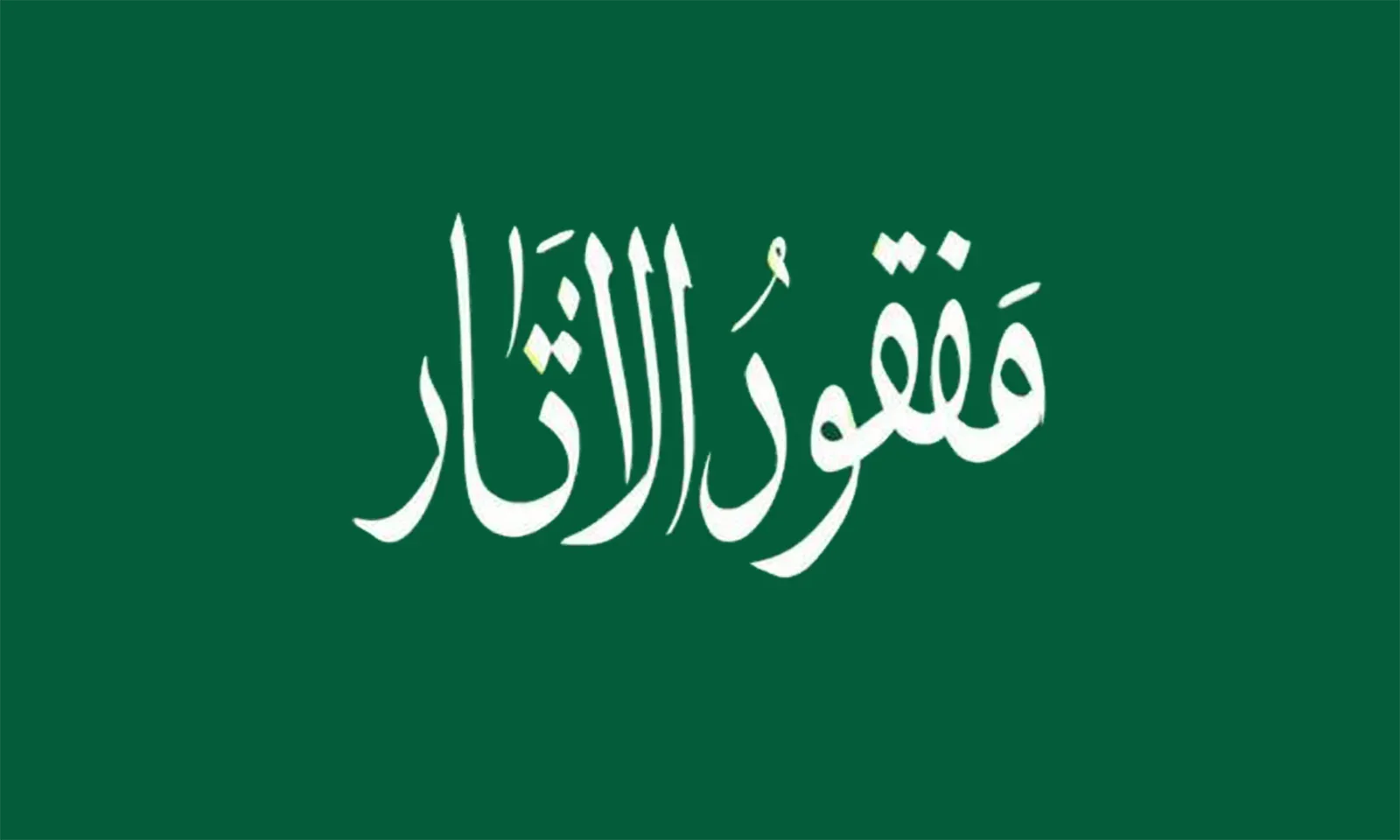 پرچم مدل مفقود الاثر