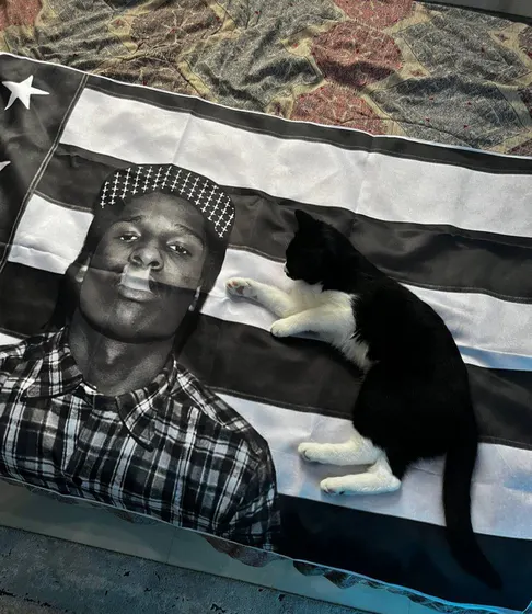 تصویر ارسالی مشتری برای پرچم طرح Asap rocky